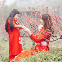 Giáo án Địa lý 4 bài 9: Thành phố Đà Lạt