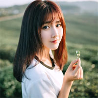 Giáo án Số học 6 bài 35: Biểu đồ phần trăm