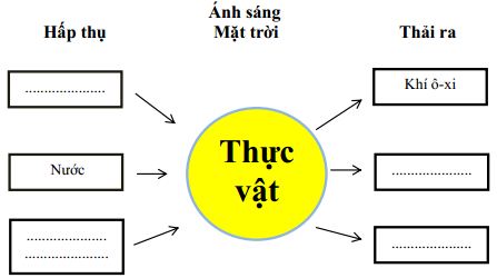 Đề thi học kì 2 môn Khoa học lớp 4 trường Tiểu học Chiêng La B, Sơn La năm 2017 - 2018