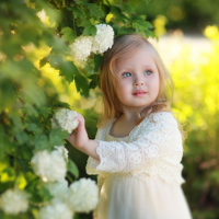 Đề thi học kì 2 lớp 5 môn tiếng Anh (Thí điểm) trường TH Thụy Lâm A, Hà Nội năm học 2016-2017