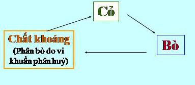 Giải sách Khoa học 4 tập 2