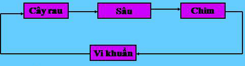 Giải sách Khoa học 4 tập 2