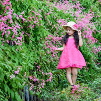 Giáo án Địa lý 5 bài 10: Nông nghiệp