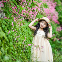 Giáo án Địa lý 5 bài 6: Đất và rừng