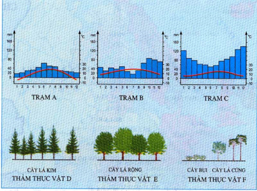 Rèn kĩ năng phân tích biểu đồ nhiệt độ và lượng mưa