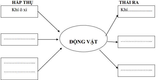 Đề thi học kì 2 môn Khoa học lớp 4 trường Tiểu học Nong Lay, Sơn La năm 2017 - 2018