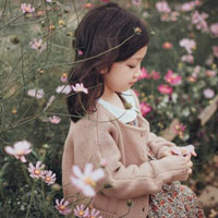 Giải bài tập SGK Địa lí 4 bài 15: Thủ đô Hà Nội