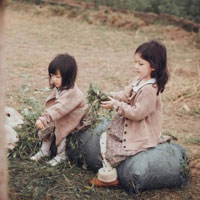 Giáo án Địa lý 5 bài 24: Châu Phi (Tiếp theo)