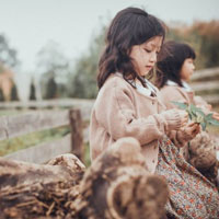 Giáo án Địa lý 5 bài 26: Châu Mĩ (Tiếp theo)