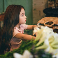 Giáo án Địa lý 5: Ôn tập cuối năm