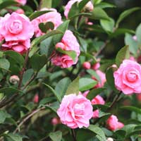 Giải vở bài tập Toán 3 bài 157: Ôn tập các số đến 100 000