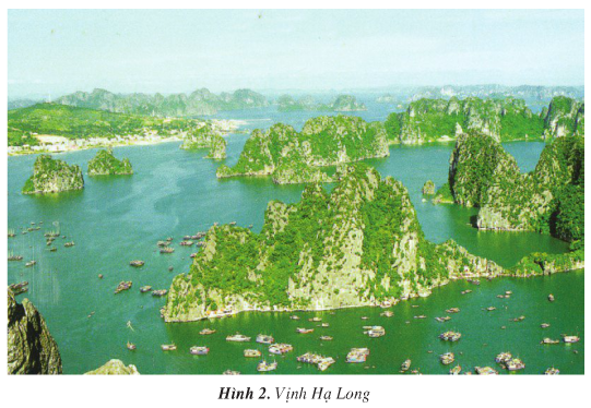 Giải bài tập SGK Địa lí 4 bài 29: Biển, đảo và quần đảo