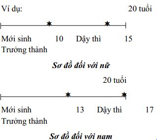 Giáo án Khoa học 5 bài 20: Ôn tập con người và sức khỏe
