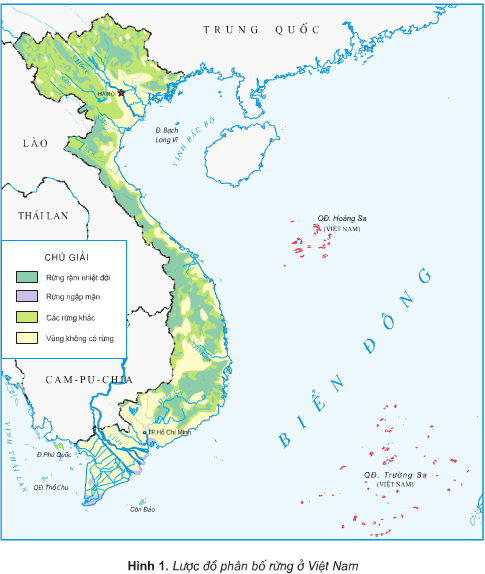 Giải bài tập SGK Địa lí 5 bài 6: Đất và rừng