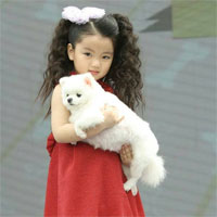 Giáo án Toán lớp 4 bài 66: Một tổng chia cho một số