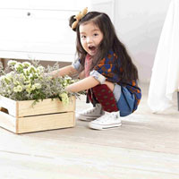 Giáo án Toán lớp 4 bài 87: Dấu hiệu chia hết cho 3