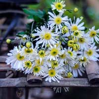 Giải vở bài tập Toán 4 bài 174: Luyện tập chung chương 6 (tiếp theo)