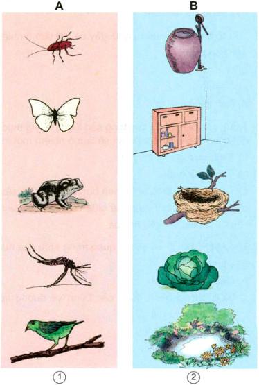 Giải bài tập Khoa học 5