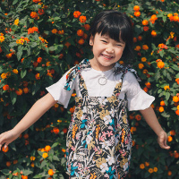 Đề thi học kì 2 lớp 5 môn tiếng Anh trường Tiểu học D Phú Hữu, An Giang năm học 2016-2017 có đáp án