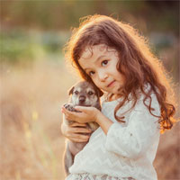 Đề thi học kì 2 môn Toán lớp 5 trường Tiểu học Ngọc Sơn, Hải Phòng năm 2017 - 2018