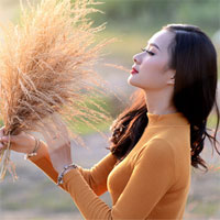 Đề thi chọn học sinh giỏi THPT cấp tỉnh môn Sinh học năm 2017 - 2018 Sở GD&ĐT Hưng Yên