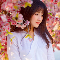 Đề kiểm tra học kì 2 lớp 8 môn Toán trường THCS Nguyễn Trường Tộ năm học 2017 - 2018