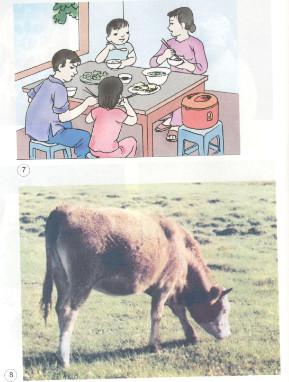 Giải vở bài tập Khoa học lớp 4