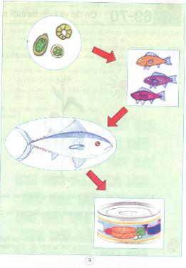Giải vở bài tập Khoa học lớp 4