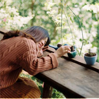 Giải bài tập SBT Toán 6 bài 17: Biểu đồ phần trăm