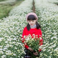 Giáo án Khoa học 4 bài 30: Làm thế nào để biết có không khí?