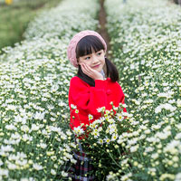 Giáo án Khoa học 4 bài 31: Không khí có những tính chất gì?