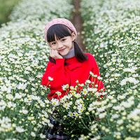 Giáo án Khoa học 4 bài 32: Không khí gồm những thành phần nào?