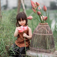 Giáo án Khoa học 4 bài 38: Gió nhẹ, gió mạnh. Phòng chống bão