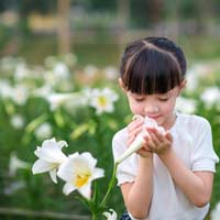 Đề thi học kì 2 môn Toán lớp 2 năm học 2017 - 2018 theo Thông tư 22 - Đề số 3