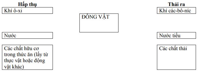 Đề thi học kì 2 môn Khoa học lớp 4