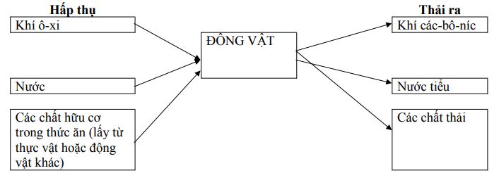 Đề thi học kì 2 môn Khoa học lớp 4