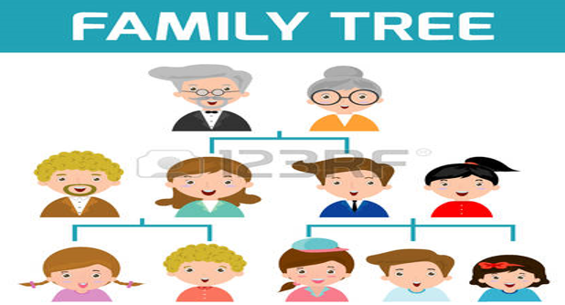 Giải bài tập SGK môn Tự nhiên xã hội 3 bài 21-22: Thực hành: Phân tích và vẽ sơ đồ mối quan hệ họ hàng