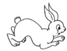 Giải vở bài tập Toán 3 bài 10 câu 3