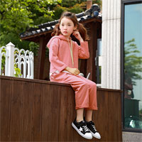 Giáo án Toán lớp 5 bài 85: Hình tam giác