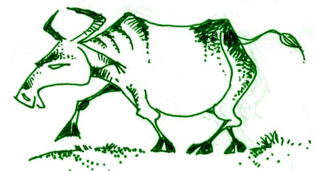 Giải bài tập SGK môn Tự nhiên xã hội 3 bài 54: Thú