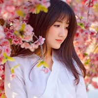 Đề kiểm tra học kì 2 lớp 9 môn Tin học trường THCS Võ Xán năm học 2017 - 2018