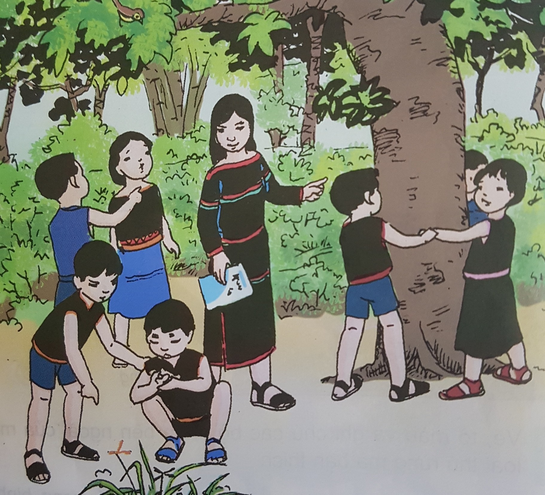 Giải bài tập SGK môn Tự nhiên xã hội 3 bài 56-57: Thực hành: Đi thăm thiên nhiên