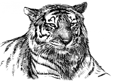 Giải bài tập SGK môn Tự nhiên xã hội 3 bài 56-57: Thực hành: Đi thăm thiên nhiên