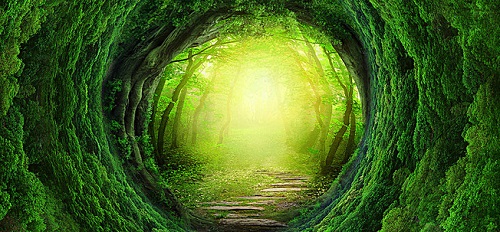 Trắc nghiệm tính cách