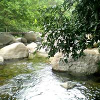 Chính tả lớp 3 (Nghe - viết): Dòng suối thức