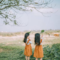 Giải bài tập SGK môn Tự nhiên xã hội 3 bài 69-70: Ôn tập và kiểm tra học kì 2