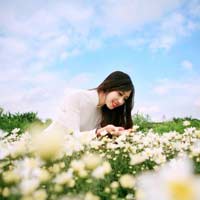 Đề thi giáo viên dạy giỏi môn Tin học trường THPT Quỳnh Lưu, Nghệ An năm 2016 - 2017