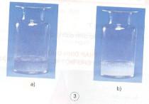 Giải bài tập SGK Khoa học 4