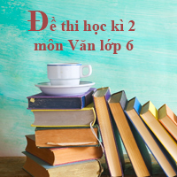 Đề thi học kì 2 lớp 6 môn Ngữ Văn Sở GD&ĐT Nam Định năm học 2017 - 2018