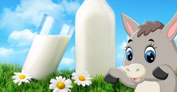 Trắc nghiệm tính cách